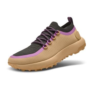 Men's Allbirds Trail Runner SWT Running Shoes Brown / Purple | NZ1146CT
