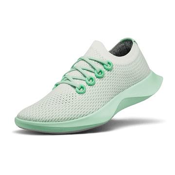 Men's Allbirds Tree Dasher 1 Running Shoes White / Green | NZ1162YX