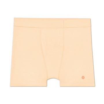 Men's Allbirds Trino® Boxer Brief Underwear Brown | NZ1272MQ