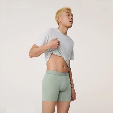 Men's Allbirds Trino® Boxer Brief Underwear Green | NZ1274BE