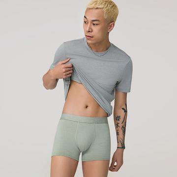 Men's Allbirds Trino® Trunk Underwear Green | NZ1280KO